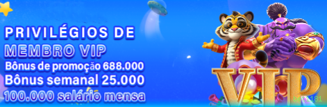 Comparação APP mobile vs versão web da bet1181